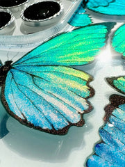 Butterflies
